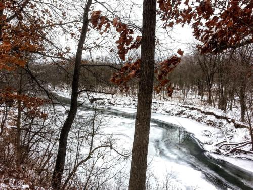 Mackinaw River  - Merwin Nature Preserve, central Illinois