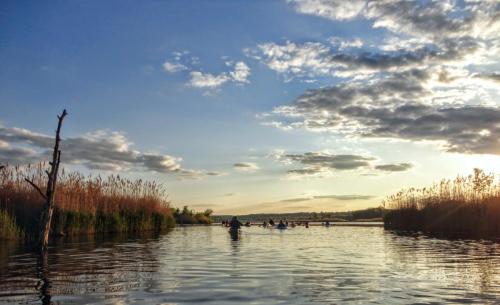 sunset paddle  - Banner Marsh, central Illinois