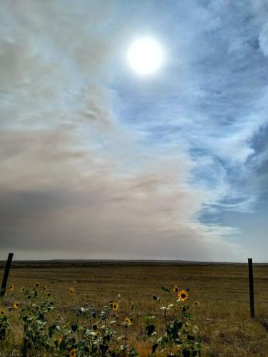 Forest fire smoke cloud moving east from the Colorado Rockies, Pawnee National Grasslands